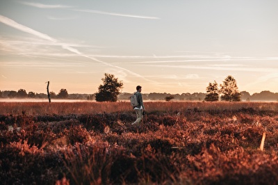 Nieuwjaarsarrangement (2 nachten)